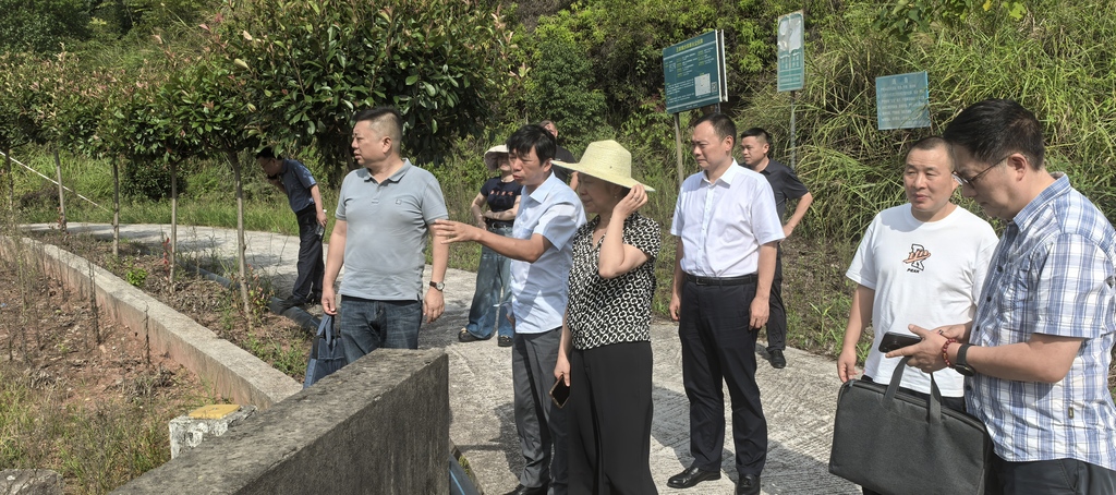 2025年9月18日下午，涪陵区政协副主席、民革区委会主委石鹏一行在蔺市镇王家嘴水库调研